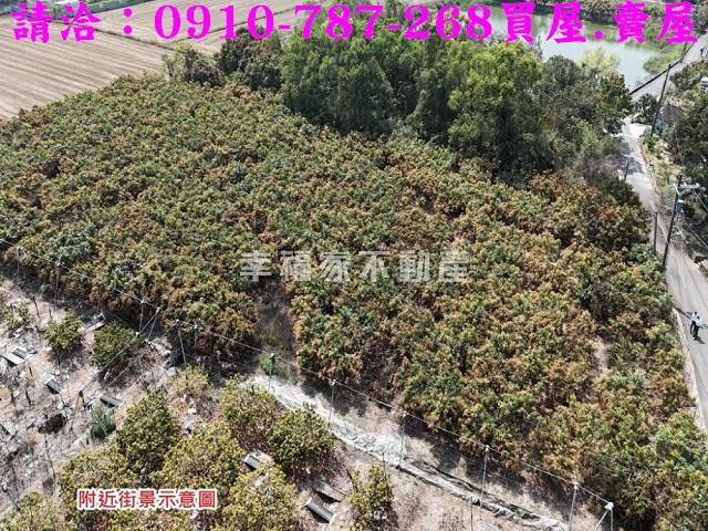 台南官田農地-7