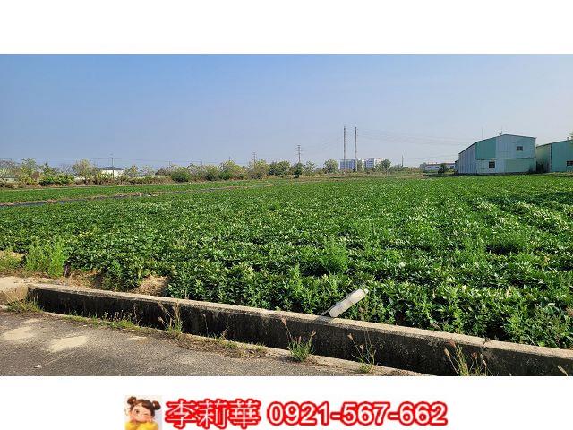 台南農地-6