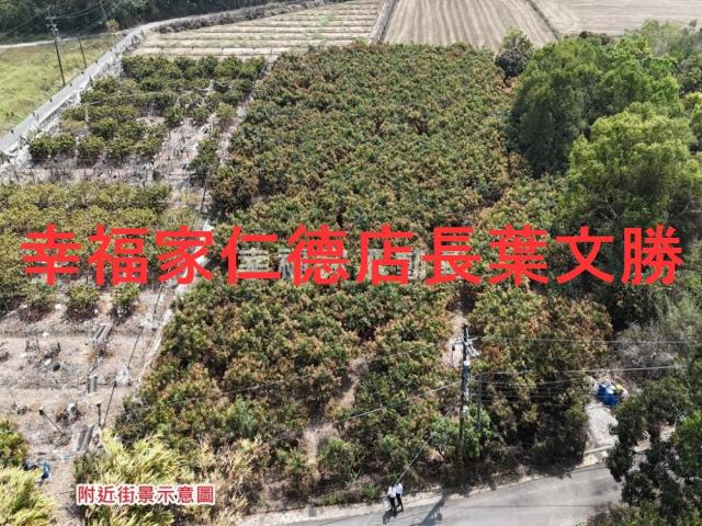 台南官田農地-1