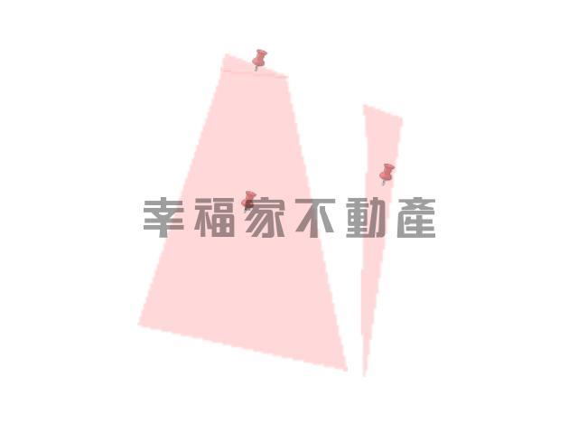 台南新化農地-14