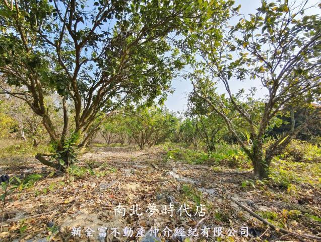 台南左鎮農地-2