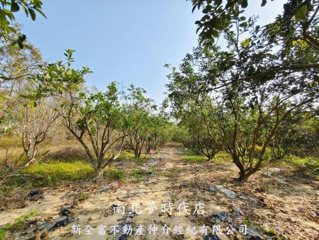 台南左鎮農地-7