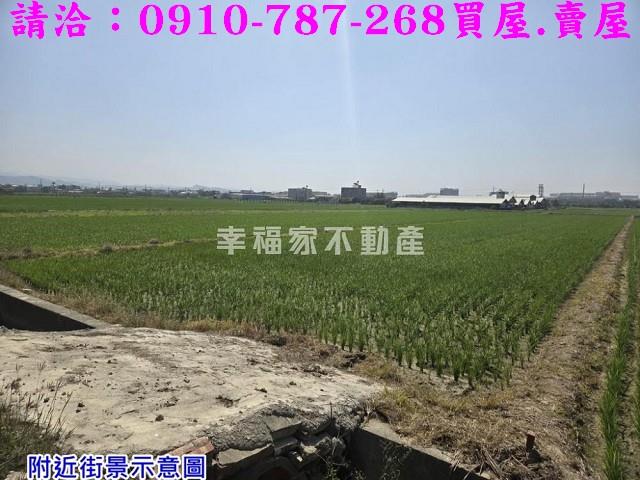 台南柳營農地-4