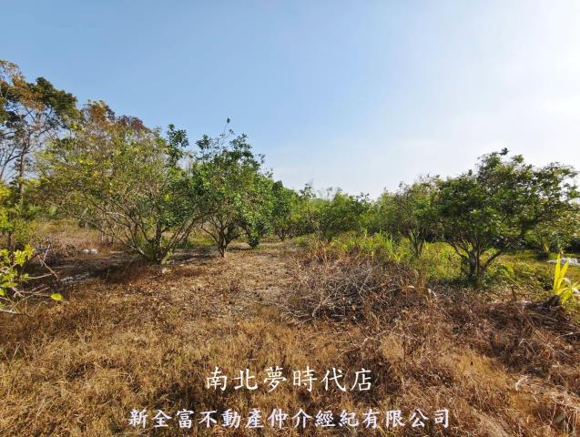 台南左鎮農地-1