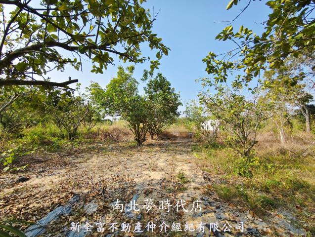 台南左鎮農地-8