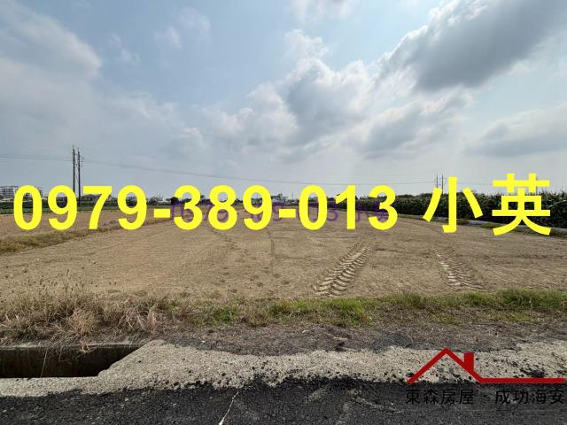 台南新市農地-2