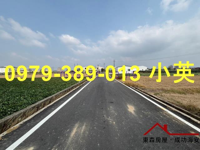 台南新市農地-7