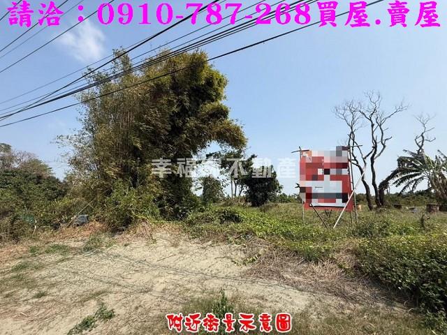 台南新市農地-2