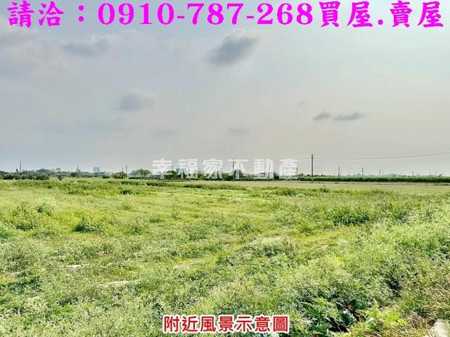 台南善化農地-10