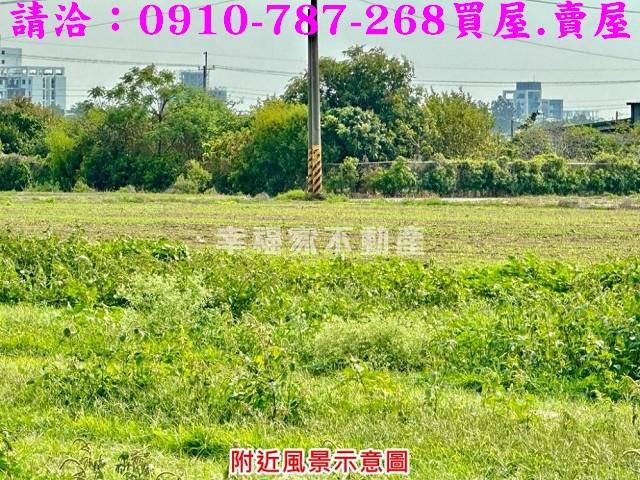 台南善化農地-4