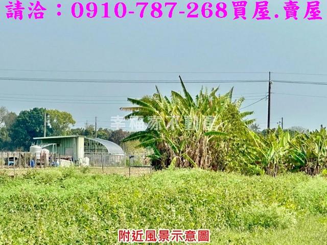 台南善化農地-5