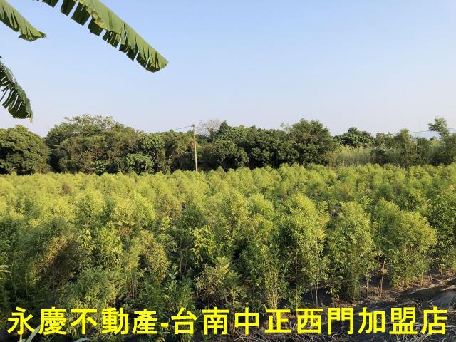 台南玉井農地-9