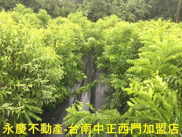 台南玉井農地-12