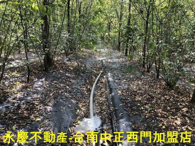 台南玉井農地-1