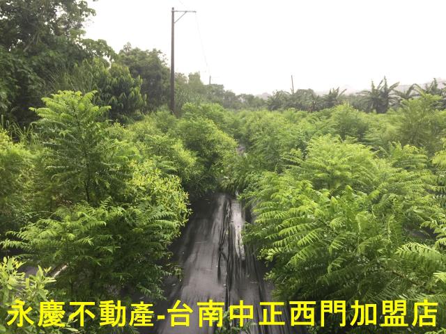 台南玉井農地-4