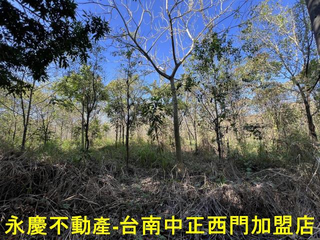 台南玉井農地-5