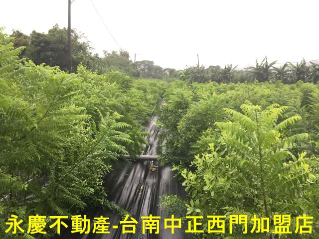 台南玉井農地-7