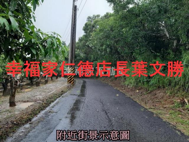 台南大內農地-11