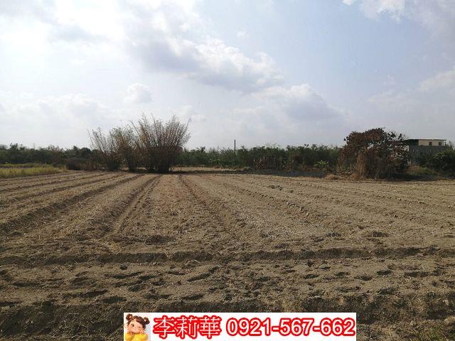 關廟農地-4