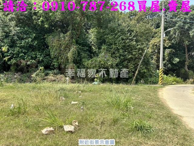 台南關廟農地-4