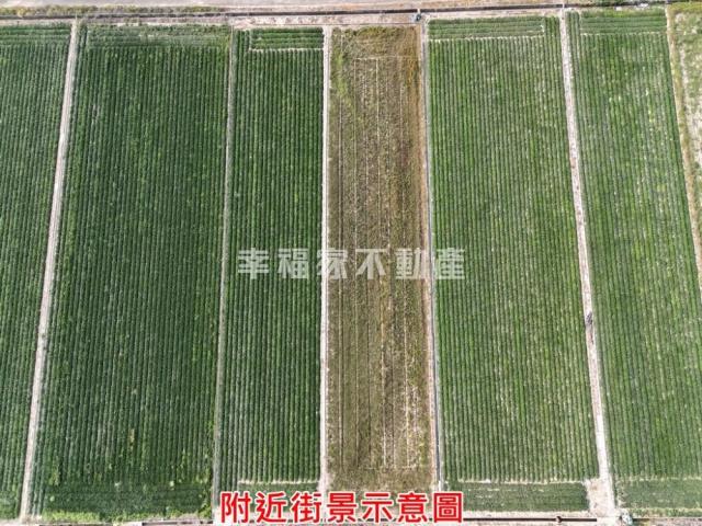 台南新化農地-10