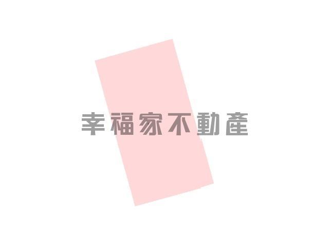 台南新化農地-14