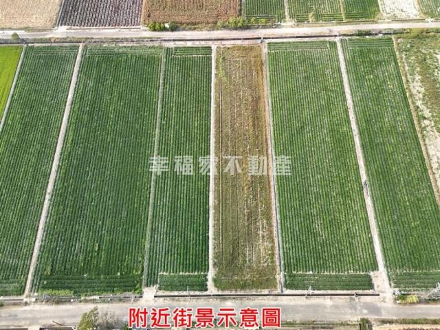 台南新化農地-1