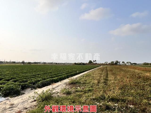 台南新化農地-5