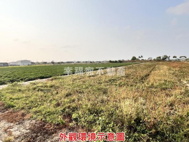 台南新化農地-7