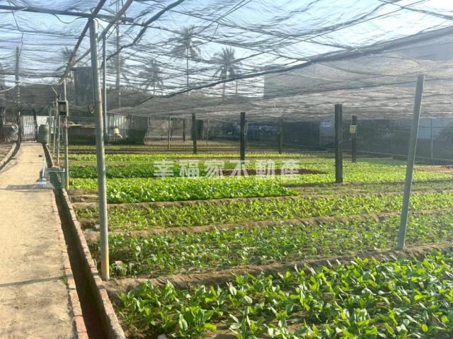 台南南區農地-3