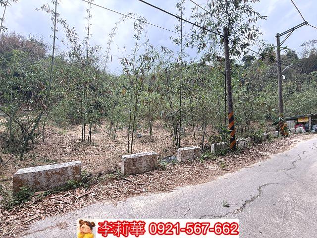 台南新化農地-3