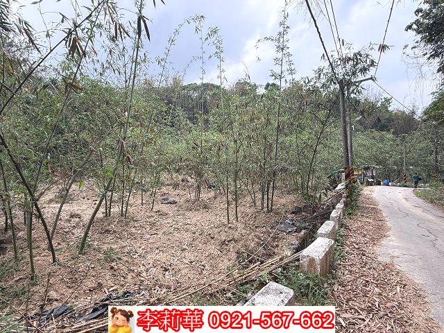 台南新化農地-4