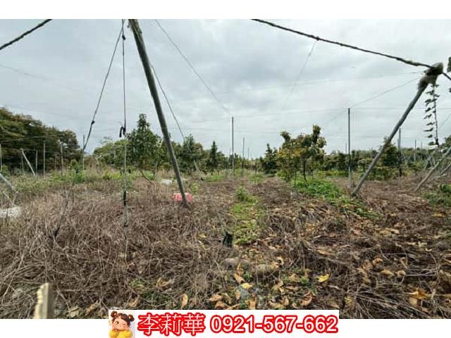 台南農地-9