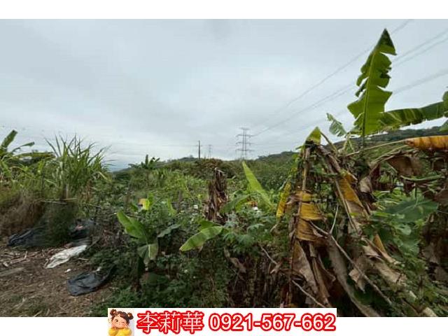 台南農地-11