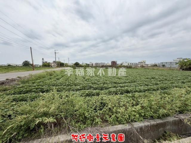 新化農地-10
