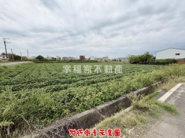 新化農地-4