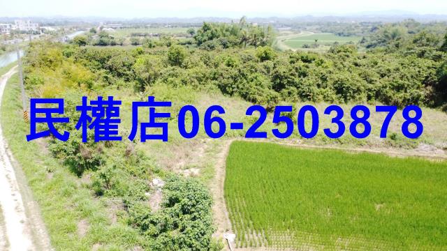 台南官田農地-6