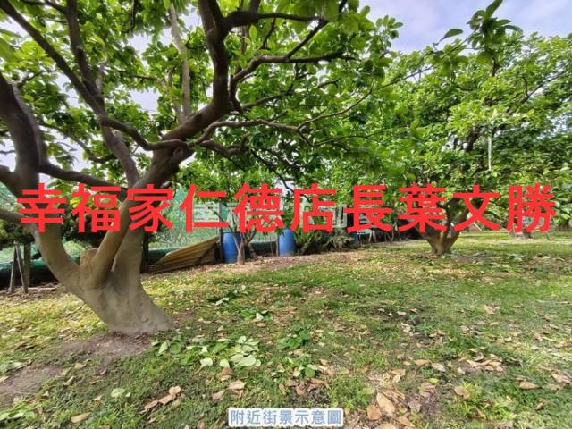 台南麻豆農地-13