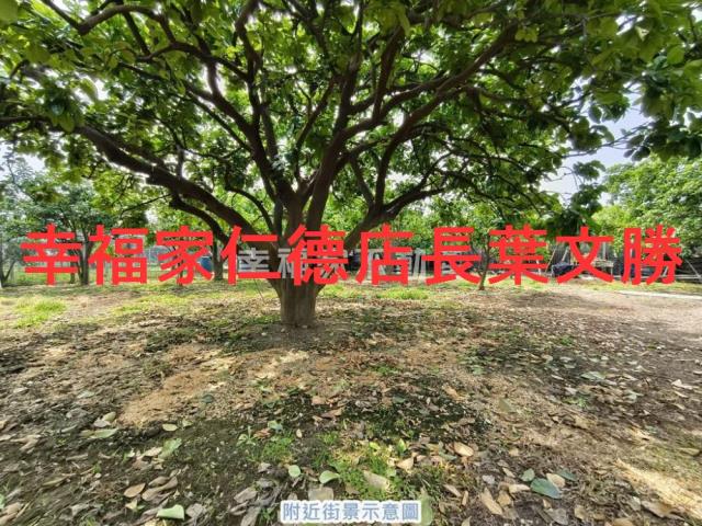 台南麻豆農地-3