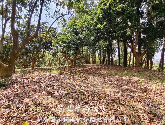 台南農地-13