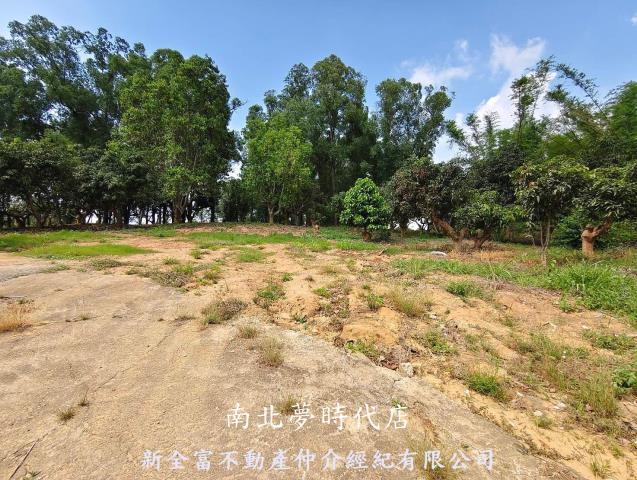 台南農地-4