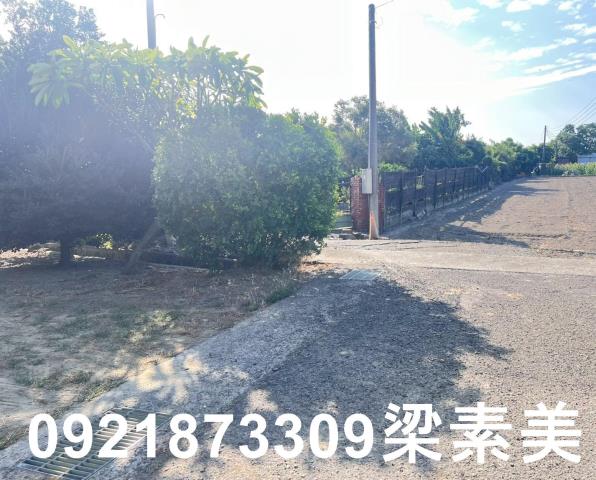 台南仁德農地-13