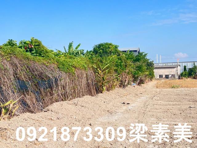 台南仁德農地-3