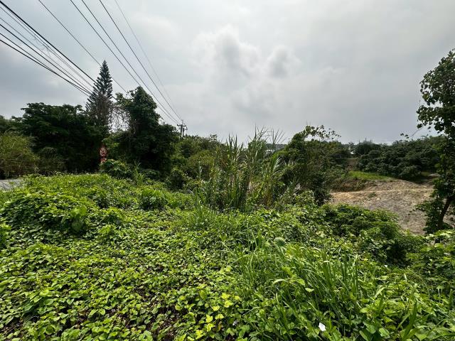 台南左鎮農地-4