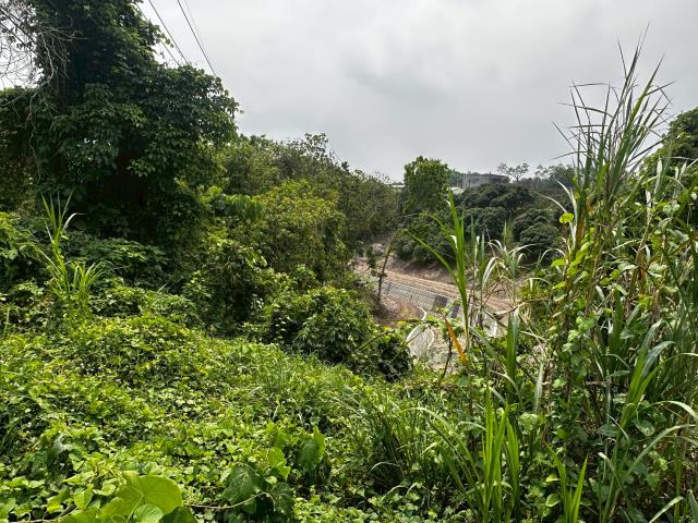 台南左鎮農地-5