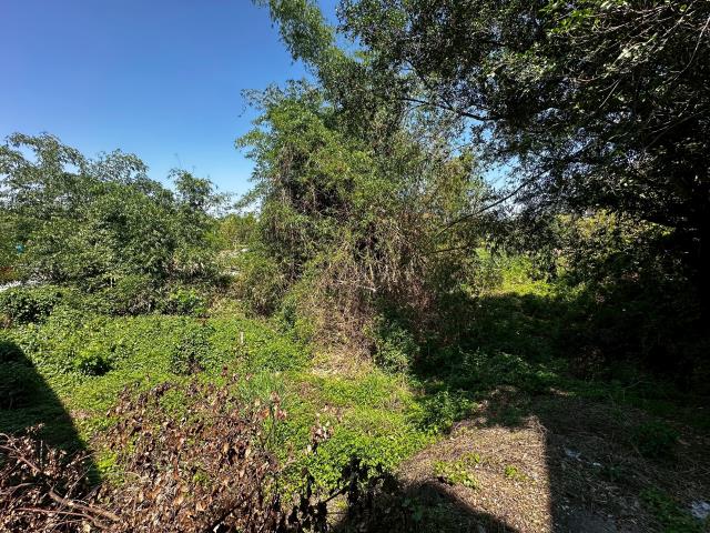 台南新化農地-0