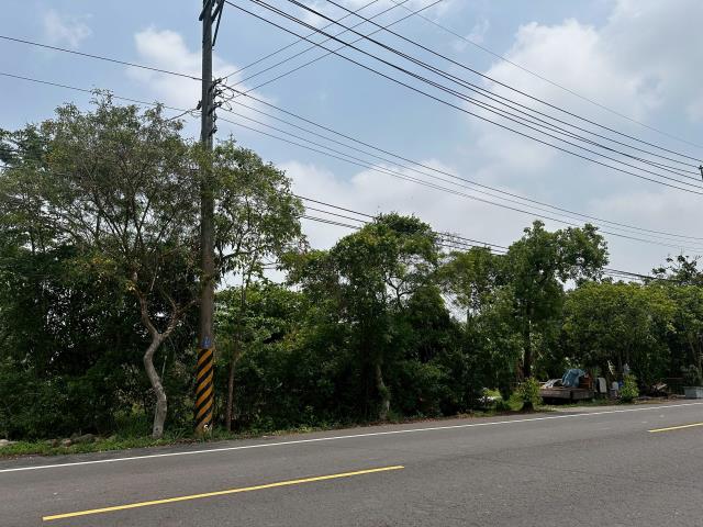 台南新化農地-4