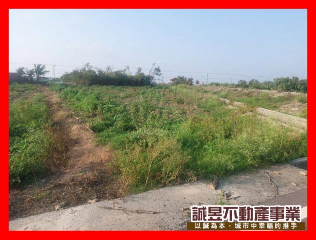 新營建地-1