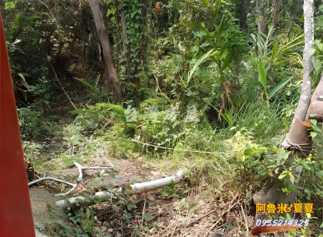 台南白河農地-6