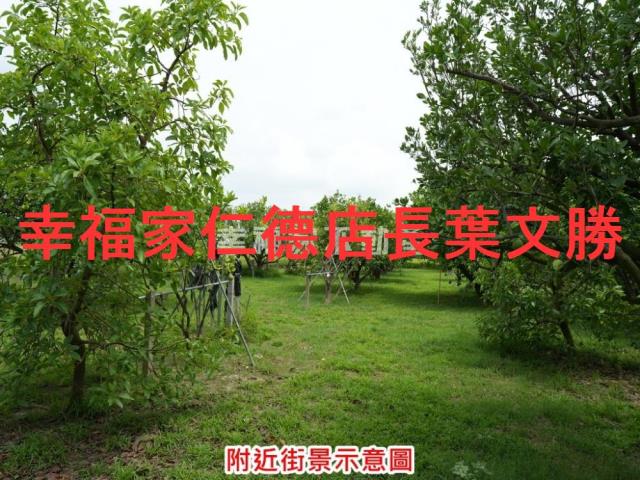 麻豆農地-11